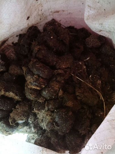 Навоз конский(отборный), козий
