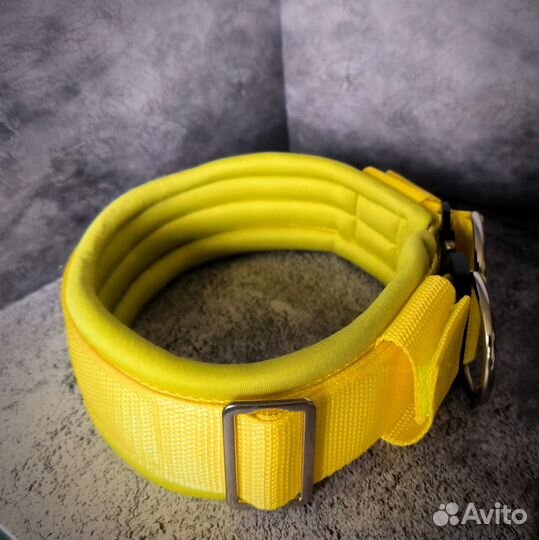 Ошейник для собак