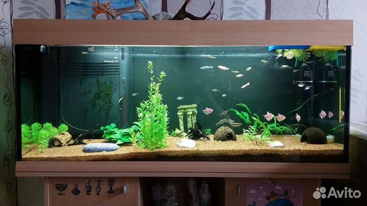 Аквариум с тумбой 240 л