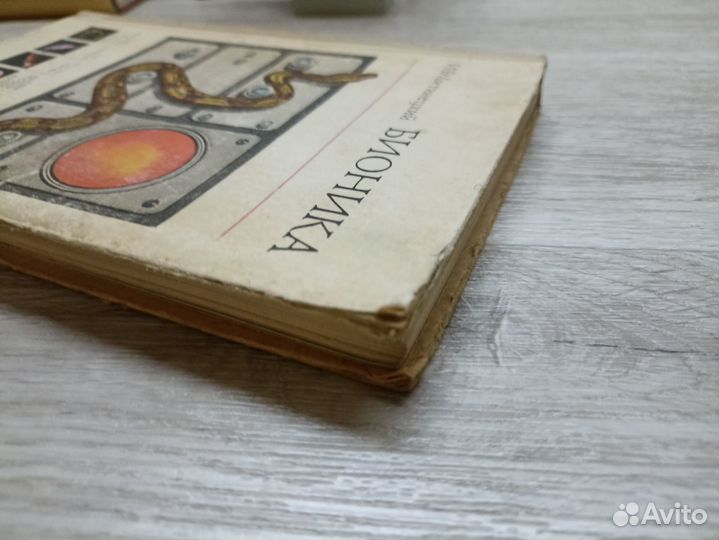 Литинецкий И. Б Бионика