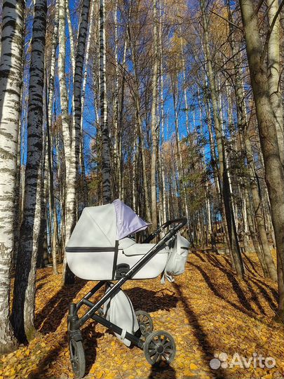 Коляска anex cross 3 в 1