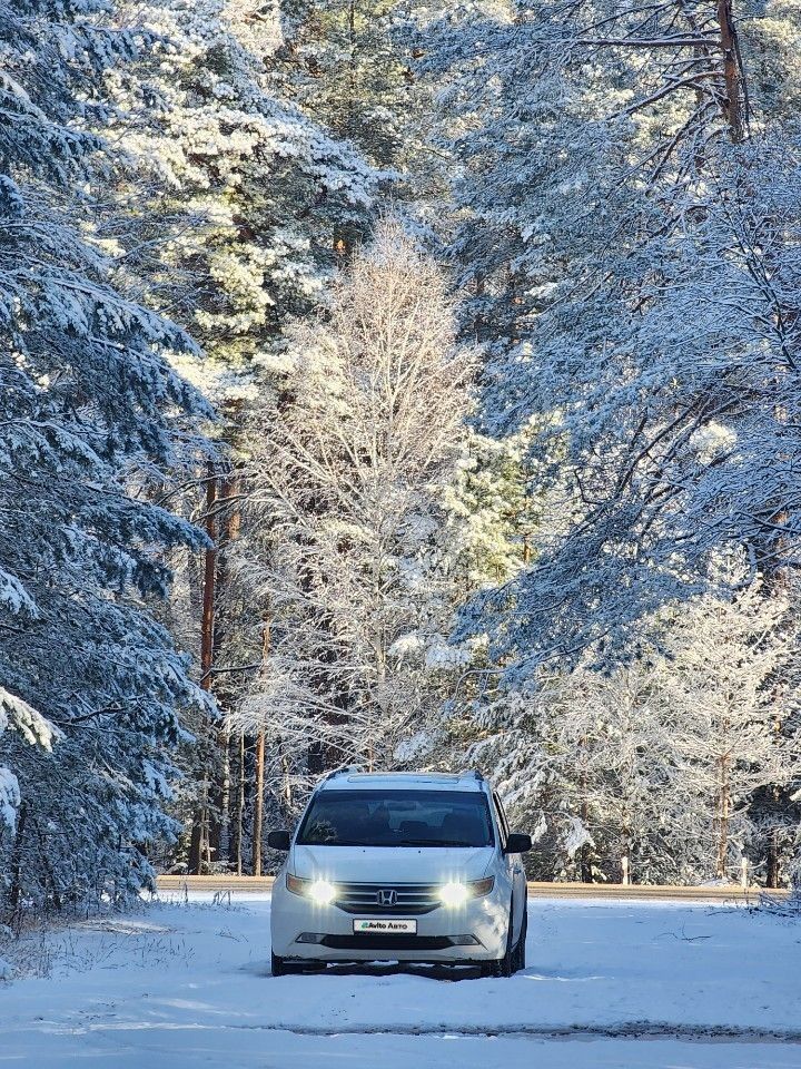 Honda Odyssey (North America): фото из отзыва