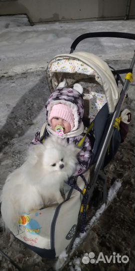 Шпиц для вязки