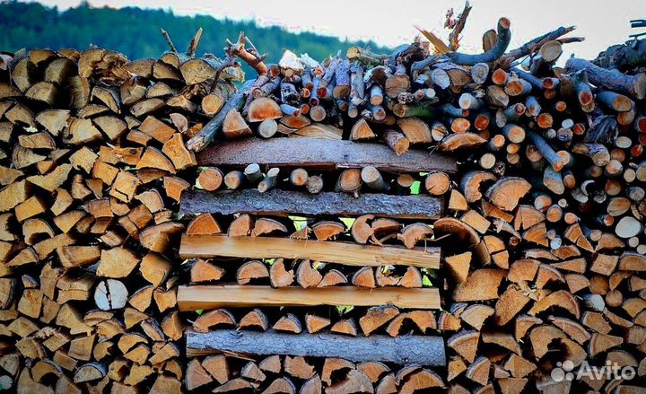 Дрова березовые
