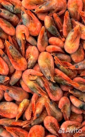 Оптом Креветки