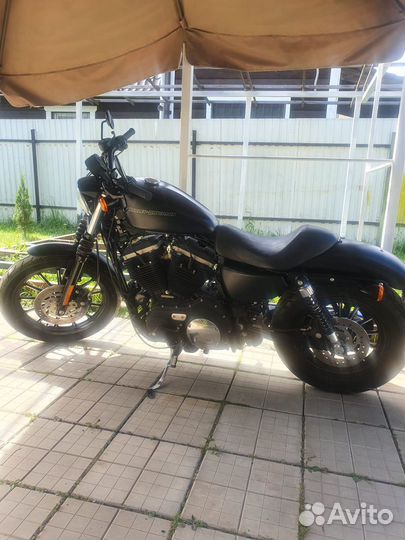 Harley Davidson XL883N
