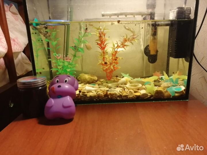 Аквариум