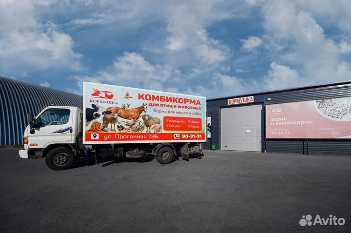 Ошейник для собак gripalle из натур. кожи Остин