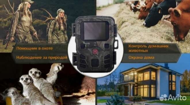 Фотоловушка Suntek 301 mini