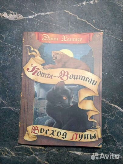 Коты-Воители (Эрин Хантер)