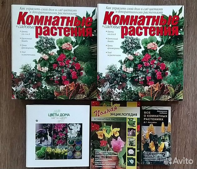 Комнатные растения