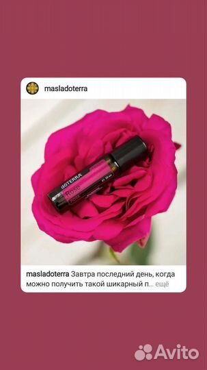 Диффузор doterra эфирные масла и Духи