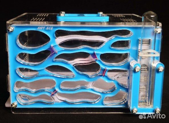 Настоящие муравьиные фермы с муравьями, Доставка