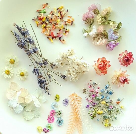 Набор сухоцветов для творчества, смолы, свечей