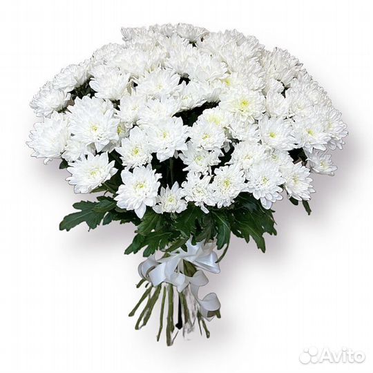 Хризантема кустовая букеты цветы