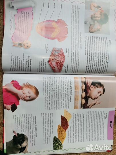 Энциклопедия