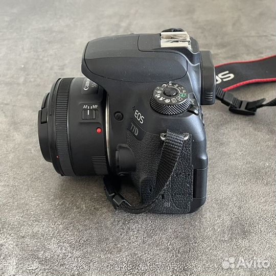 Canon eos 77d 50mm f 1.8