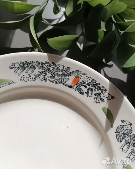 Тарелки зик