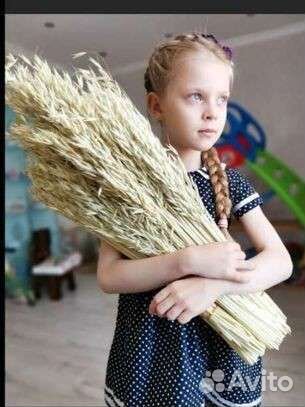 Декор. Сухоцветы