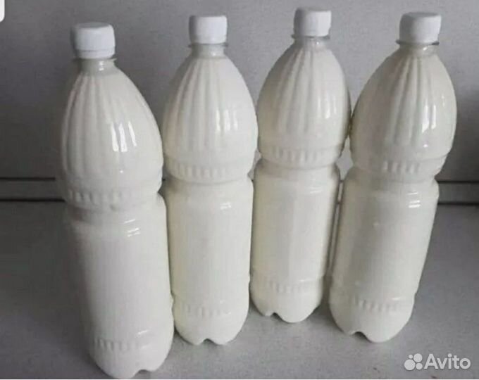 Домашнее молоко, творог, сыр