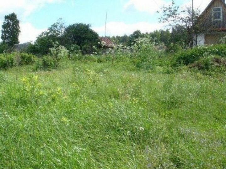 Участок 7 сот. (СНТ, ДНП)