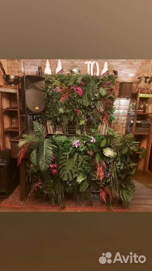 Вертикальное озеленение