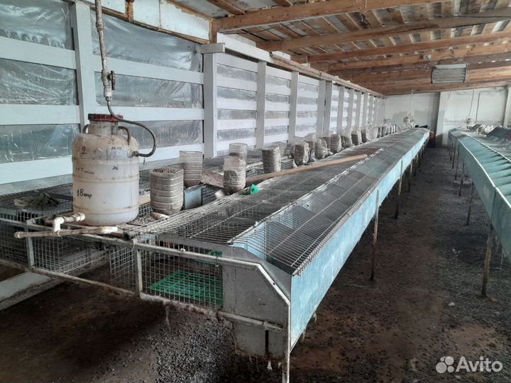 Клетка для кролика