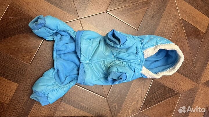 Одежда для маленьких собак