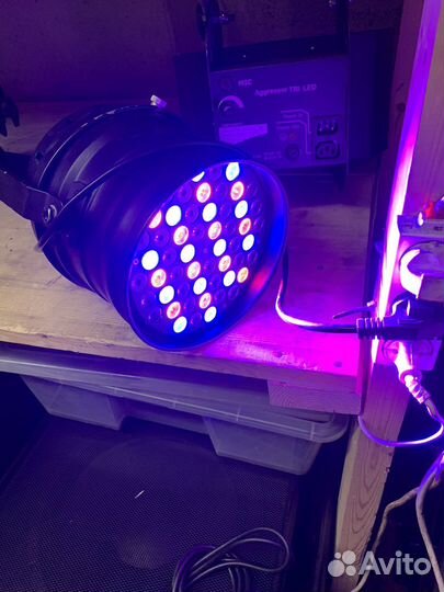 LED Par