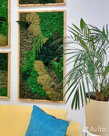 Фитостена из стабилизированного мха