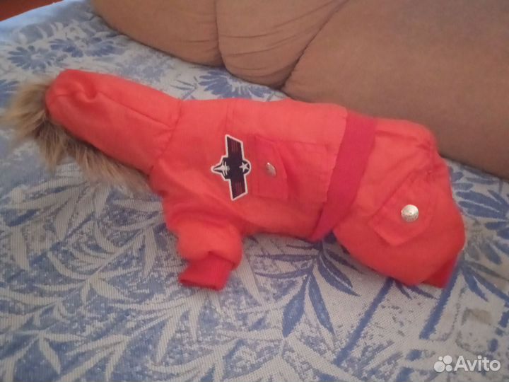 Одежда для маленьких собак