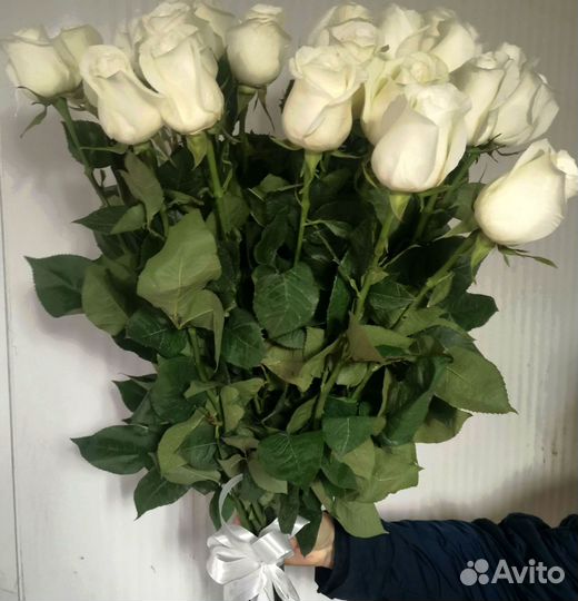 Розы букет цветов