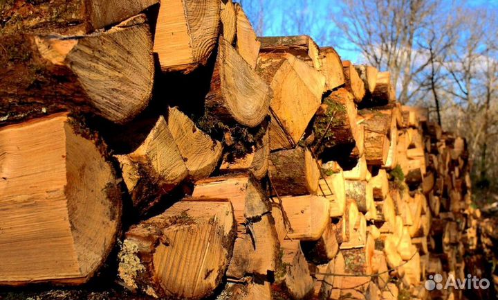 Дрова с Выборга