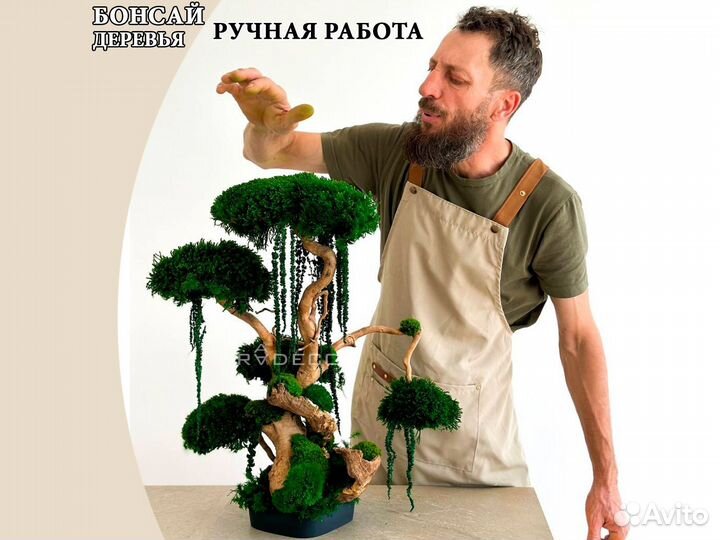 Дерево Бонсай стабилизированный мох