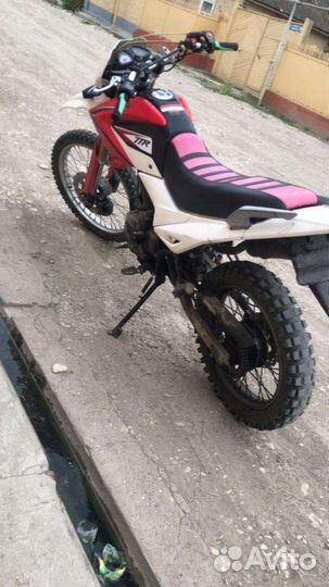 Ирбис ttr250
