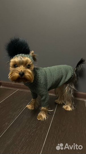 Свитер для маленьких собак