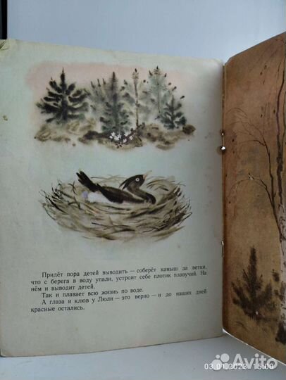 В.Бианки 