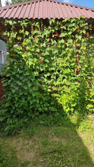 Дом 90 м² на участке 8 сот.