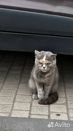 Меня оставили погибать и уехали