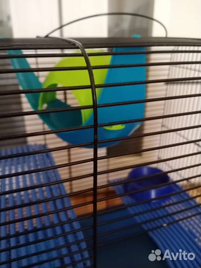 Клетки для крыс укомплектованные