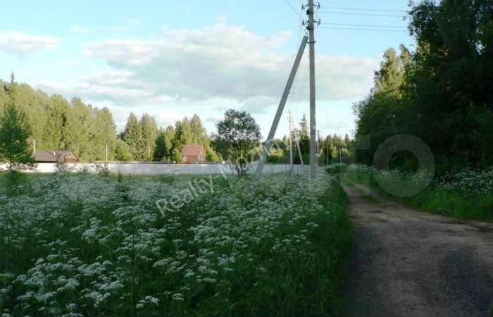 Участок 10 сот. (СНТ, ДНП)