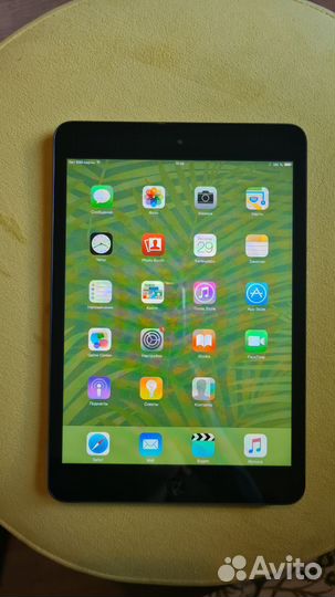 iPad mini Wi-Fi Cellular 16Gb Black