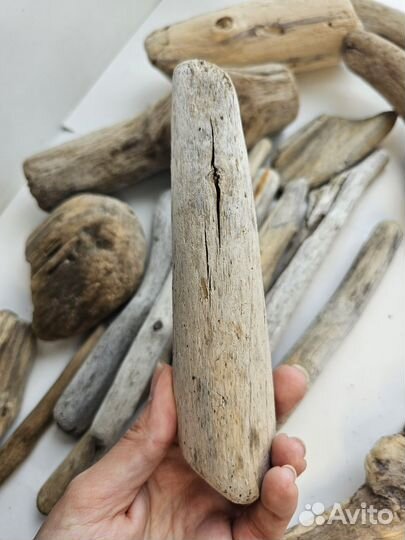 Дрифтвуд, плавун, коряги набор от 11 до 32 см