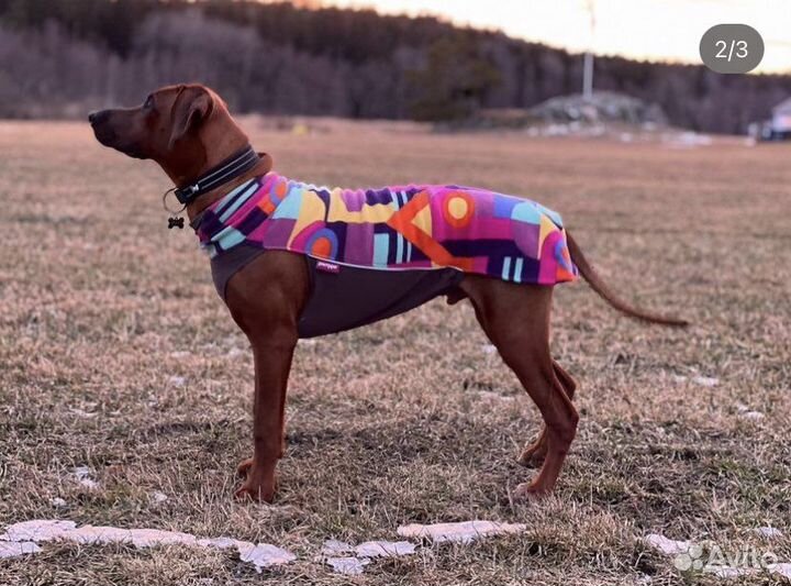 Флисовая жилетка Jumpa Pompa для собак