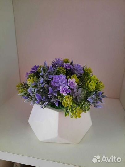 Цветы в кашпо