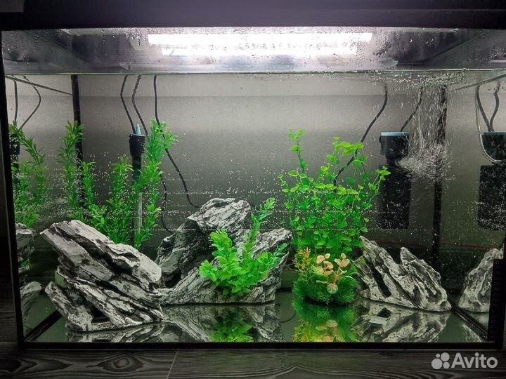 Аквариум с рыбками