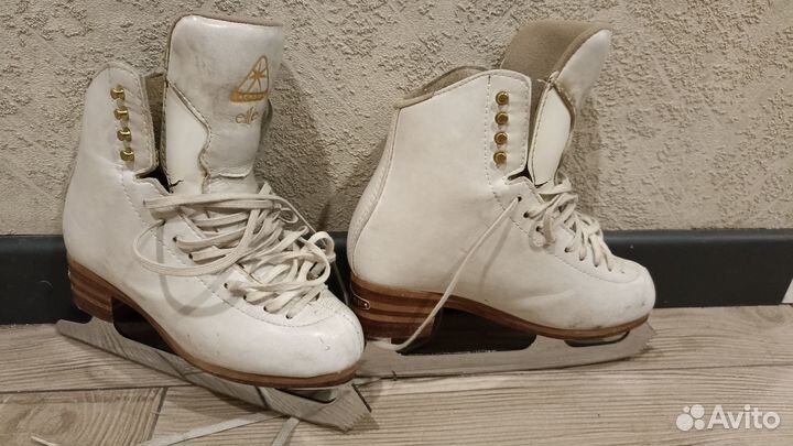 Профессиональные коньки jackson elle