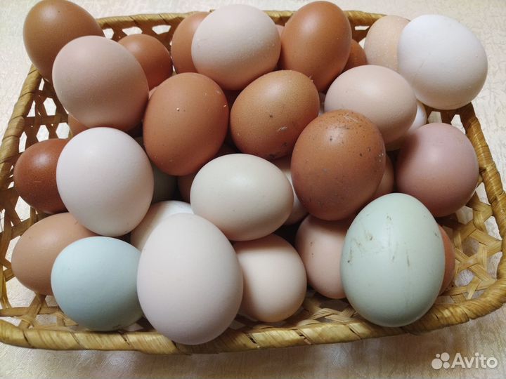 Домашние куриные перепелиные яйца