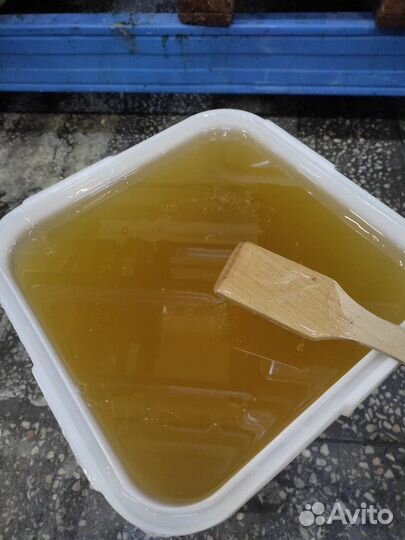 Мёд липовый свежий Опт