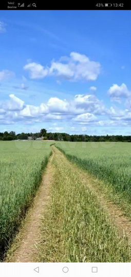 Участок 8,1 га (СНТ, ДНП)